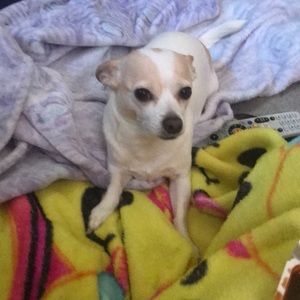 Meet your Posher, Emma